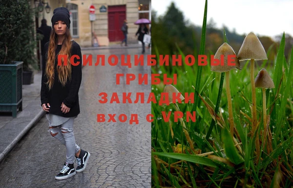 Альфа ПВП Алексеевка