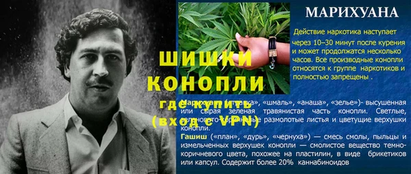 гидра Алексин