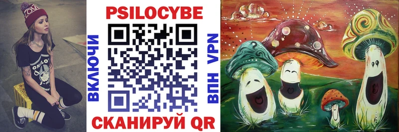 Галлюциногенные грибы Psilocybe  Тобольск 