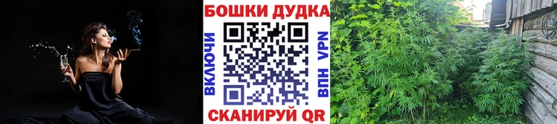 сайты даркнета состав  OMG ТОР  Тобольск  Бошки марихуана OG Kush 